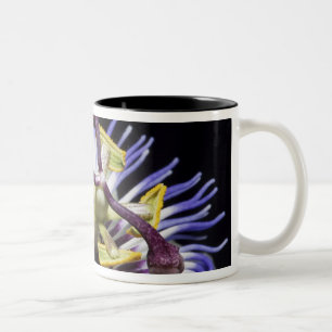 Passionsblume Nahaufnahme (MR) Zweifarbige Tasse