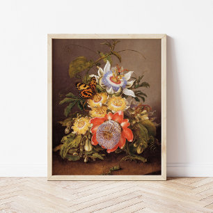 Passionsblumen Ferdinand Bauer Poster