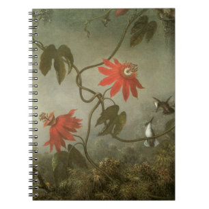 Passionsblumen und Kolibris von Martin J Heade Notizblock