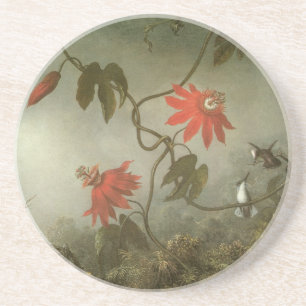 Passionsblumen und Kolibris von Martin J Heade Sandstein Untersetzer