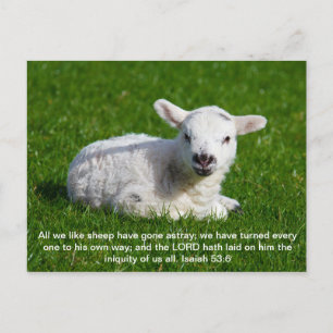 Passover Lamb, Isaiah 53 Postkarte