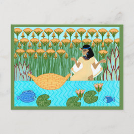 Passover Seekarte Postkarte