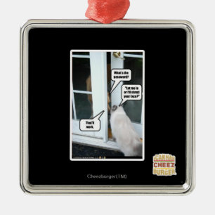 Passwort Silbernes Ornament