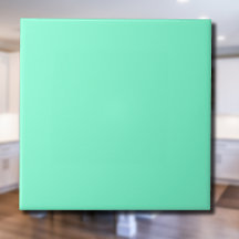 Pastel Aqua Solid Color | Classic | elegant