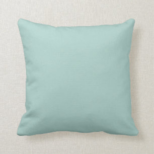 Pastel Aquamarine Blue-Green Solid Color SW 0063 Kissen