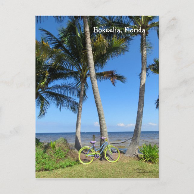 Pastel Bicycle Ocean Florida Postkarte (Vorderseite)
