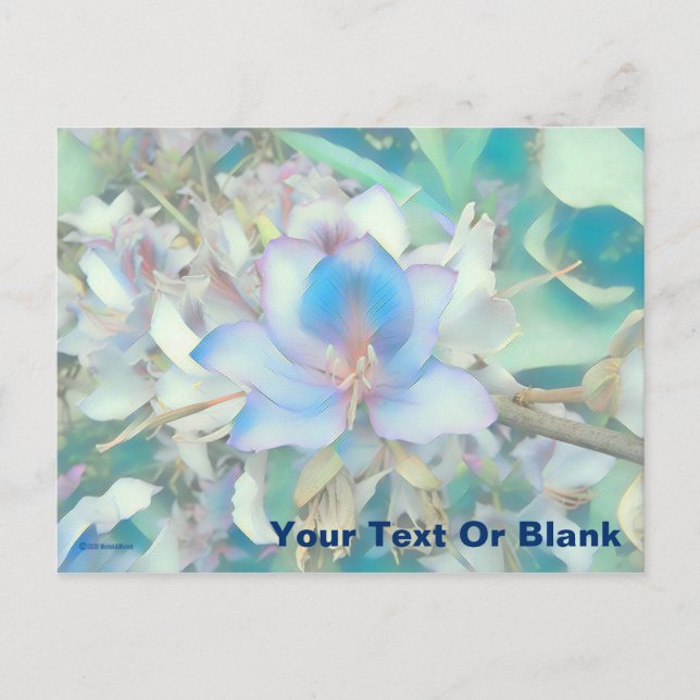 Pastel Blue Blossom Postkarte (Vorderseite)