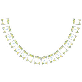 Pastel Blue Lemons Sweet Boy Baby Dusche Wimpelkette