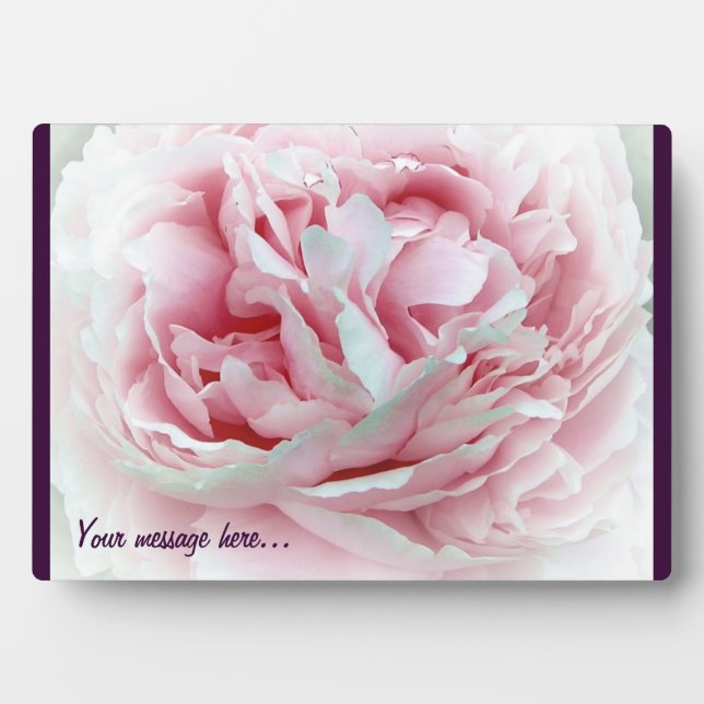 Pastel-Blume Fotoplatte (Vorderseite)