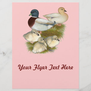 Pastel Call Duck Family Flyer