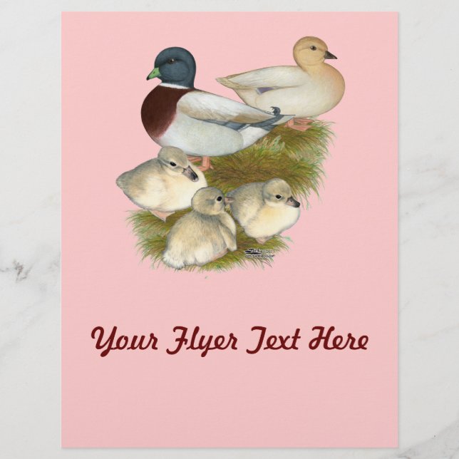 Pastel Call Duck Family Flyer (Vorne)