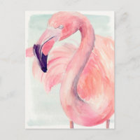 Pastel Flamingo