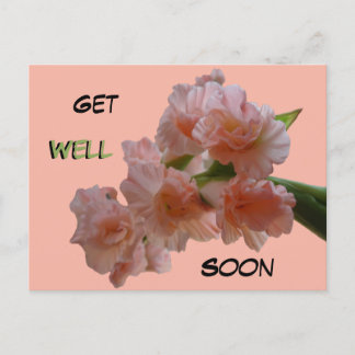 Pastel Gladioli Cust. Schnelle Postkarte