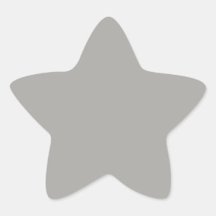 Pastel Gray Star Sticker