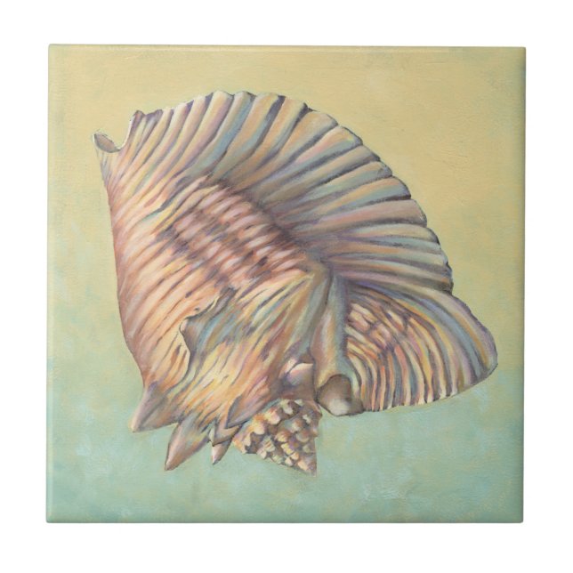 Pastel Large Conch Muschel Fliese (Vorderseite)