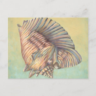 Pastel Large Conch Muschel Postkarte