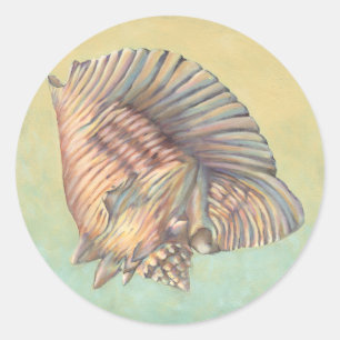 Pastel Large Conch Muschel Runder Aufkleber