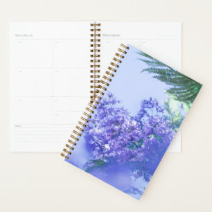 Pastel Lila Jacaranda Tree Blume Planer