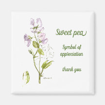 Pastel lila und grüne Wasserfarbe Süßerbse