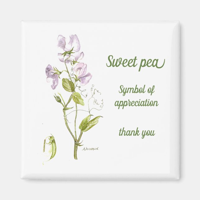 Pastel lila und grüne Wasserfarbe Süßerbse Magnet (Vorne)