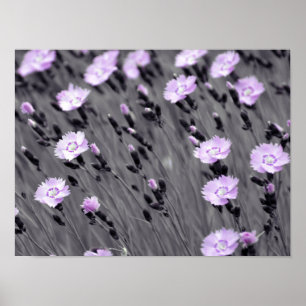 Pastel Lilac Wildblumen Poster