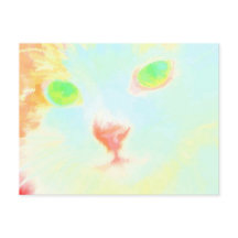 Pastel Maine Coon Cat Image - Postkarte