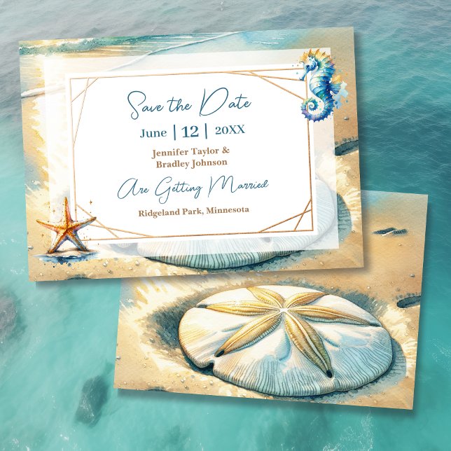Pastel Ocean Sand Dollar Hochzeit Retten Sie das D Einladung (Von Creator hochgeladen)