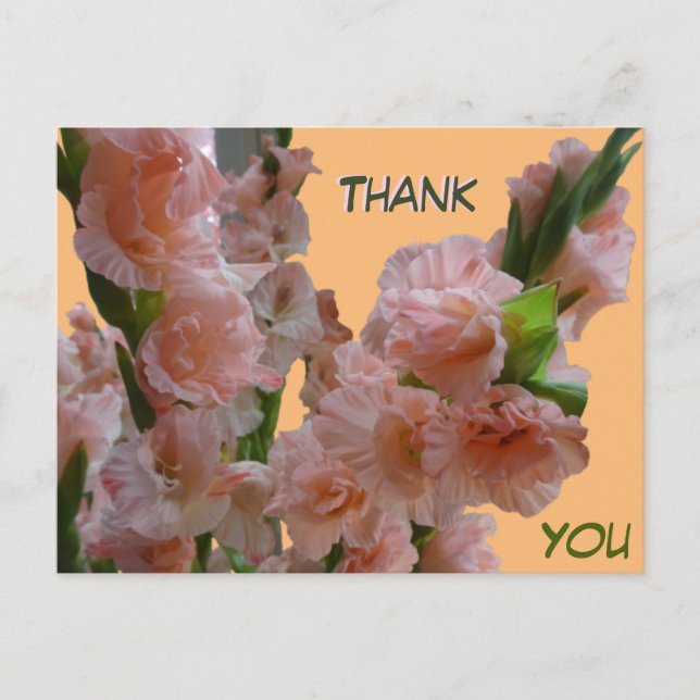 Pastel Orange Pink Gladioli Vielen Dank Postcard Postkarte (Vorderseite)