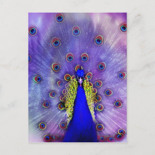 Pastel Peacock Blue Bird Postkarte