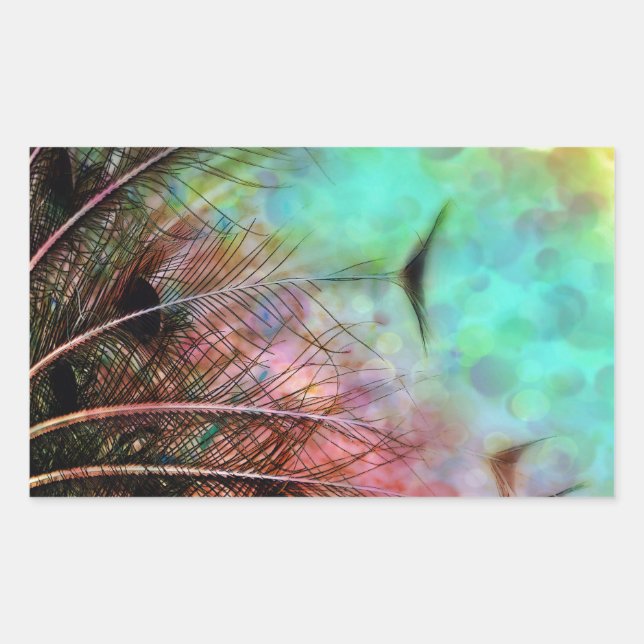 Pastel Peacock Feathers Rechteckiger Aufkleber (Vorderseite)
