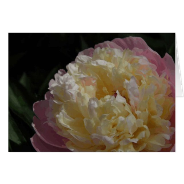 Pastel Petals (Vorderseite (Horizontal))