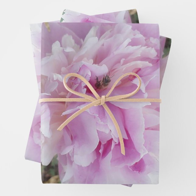 Pastel Pink Peony and Honey Bee Geschenkpapier Set (Beispiel)