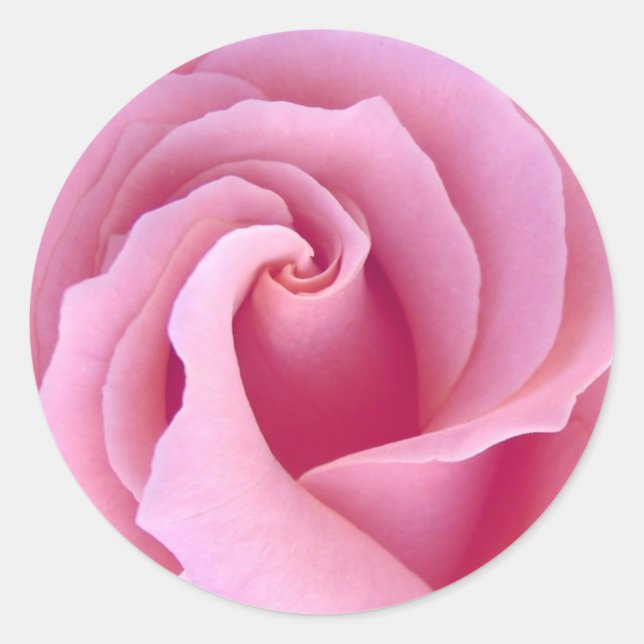 PASTEL PINK Rose - Hochzeitsfeier Umschlag Aufkleb Runder Aufkleber (Vorderseite)