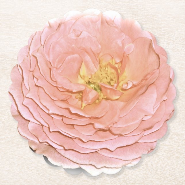 Pastel Pink Rose Untersetzer (Vorderseite)
