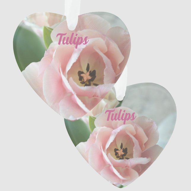 Pastel Pink Tulips mit dem Namen Floral Botanisch Ornament (Von Creator hochgeladen)