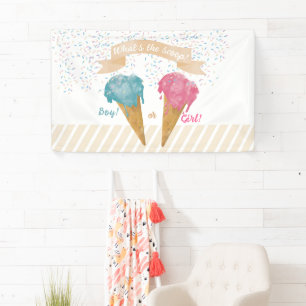 Pastel Retro Ice Cream Gender Reveal Party Banner