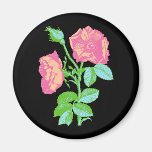 Pastel-Rose Magnet