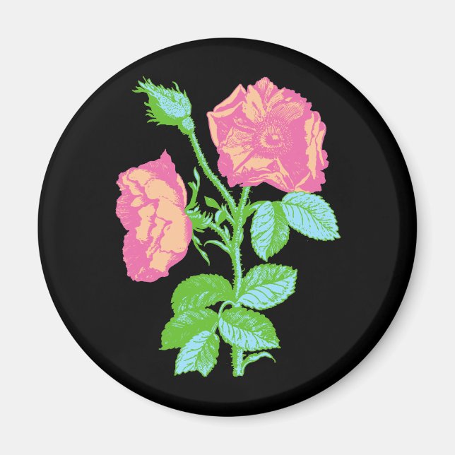 Pastel-Rose Magnet (Vorne)