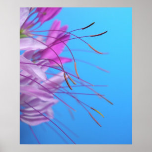 Pastel Simplicity Poster