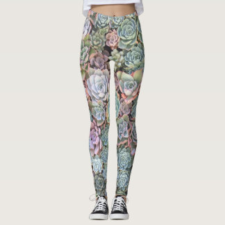 Pastel Succuled Echeveria Garden Leggings