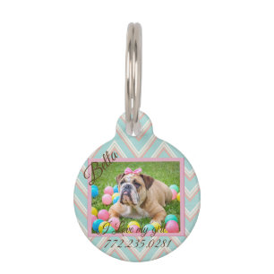 Pastel Zickzack Hund Benutzerdefiniertes Foto Haustiermarke