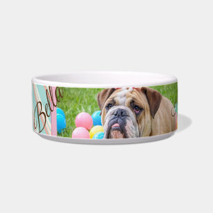 Pastel Zickzack Hund Benutzerdefiniertes Foto Napf