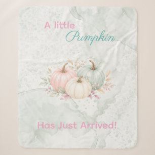 Pastell Ein Kleiner Kürbis Ist Auf Dem Weg Baby Sh Sherpadecke