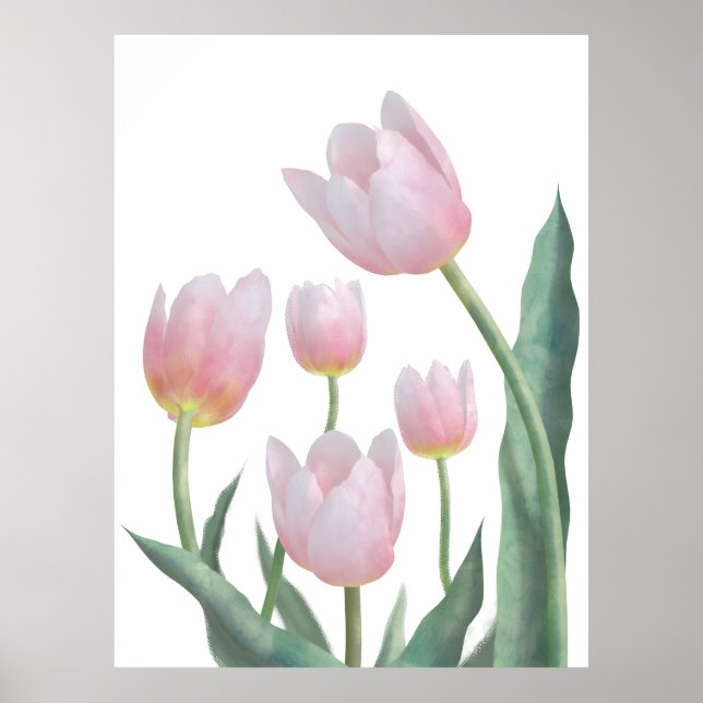 Pastell-Tulpen-Blumendesign Poster (Vorne)