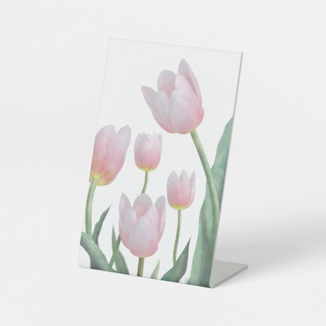 Pastell-Tulpen-Blumendesign Sockelschild (Vorderseite)