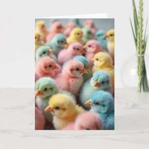 Pastell-Vögel Frühling-Osterkarte Karte