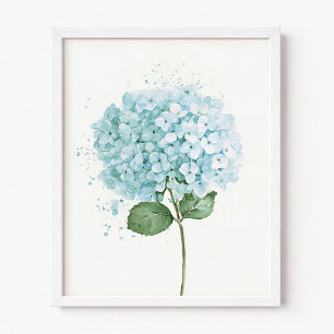 Pastellblaue Aquarell-Hortensienblüte Poster