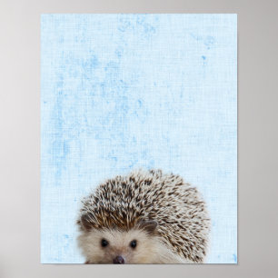 Pastellblaue Peekaboo-Igel-Minimalist-Kinderzimmer Poster