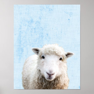 Pastellblaue Peekaboo-Schafe Minimalistische Kinde Poster