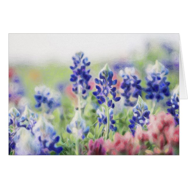PastellBluebonnets (Vorderseite (Horizontal))